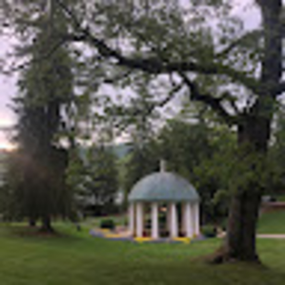 Meet your Posher, Madeline